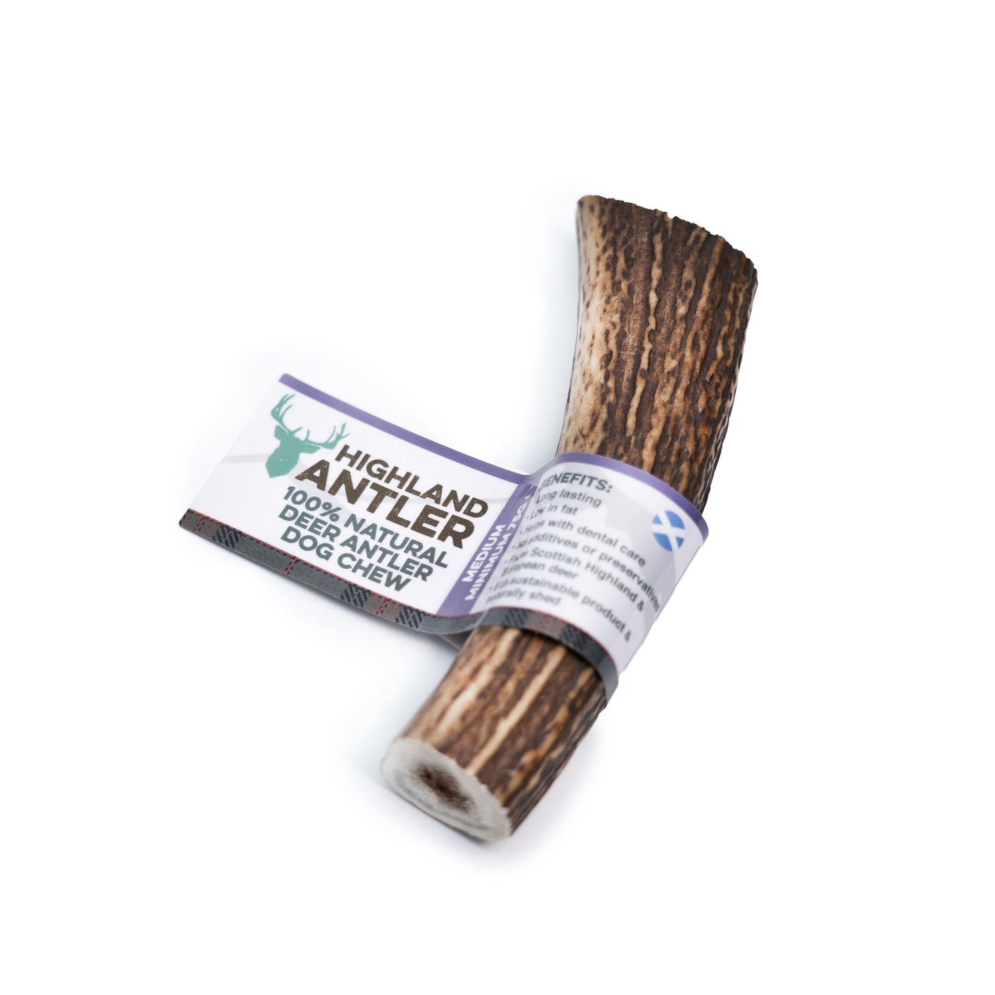 Antler Medium