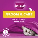 Whiskas Groom & Care Cat Treats Chicken