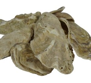 Oyster Shell Halves 2kg