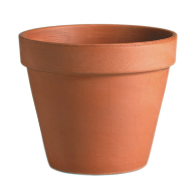 Tuscana Standard Pot