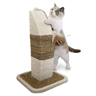 Cat Scratcher Rimini