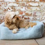 Rosewood 40 Winks Fur Blue Large