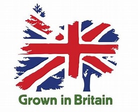 0.8cm Kiln Dried Logs Mixed (English Rough Chopped)