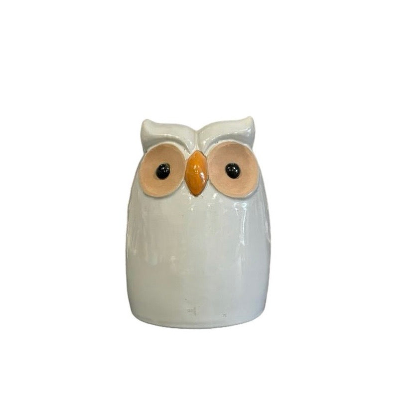 Owl Family