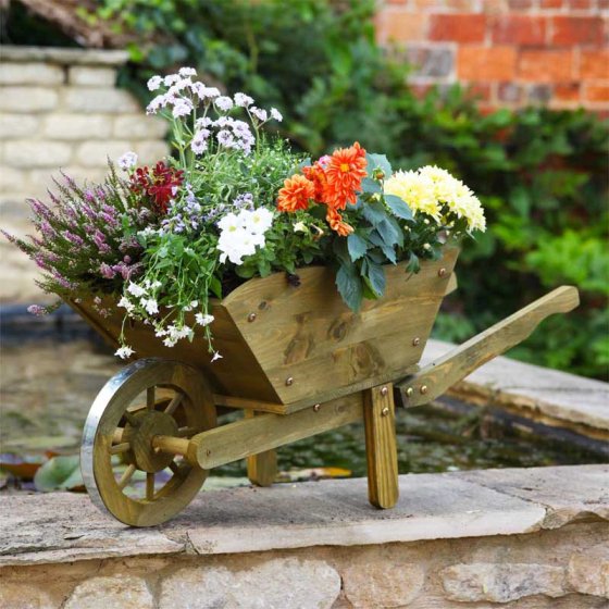 Wheelbarrow Woodland Planter XL