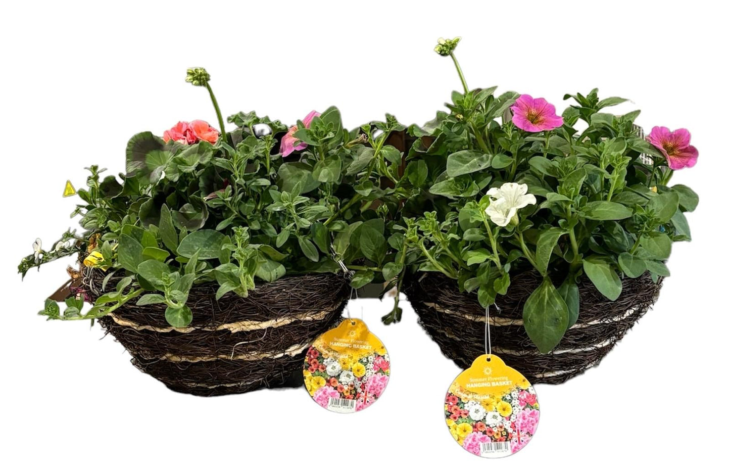 Hanging Baskets