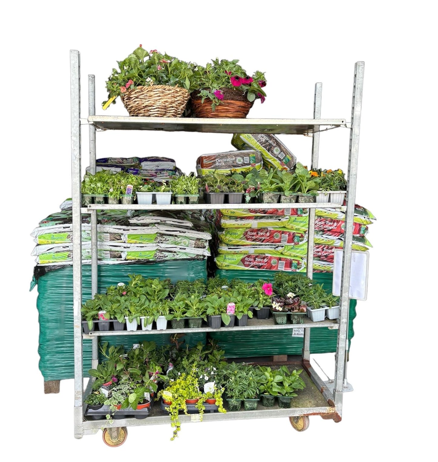 Hanging Baskets