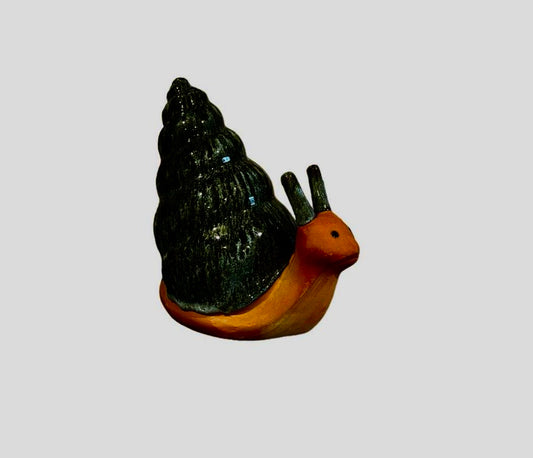Cone Snail