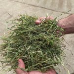 Fearns Premium Dried Grass 10kg