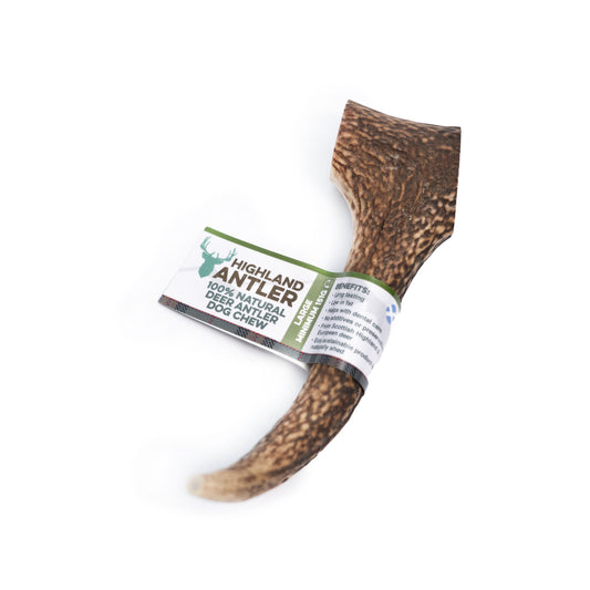 Antler Large
