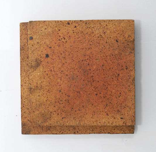 Tiger Right Hand | Left Hand Side Brick