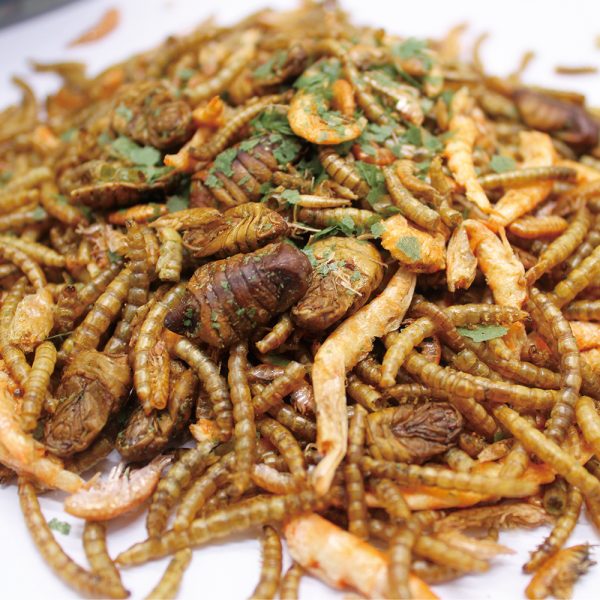 EFL Summer Fish Treat 350g