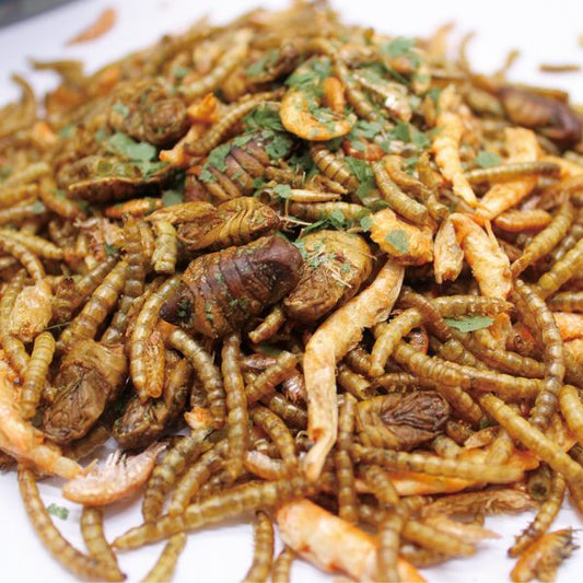 EFL Summer Fish Treat 350g