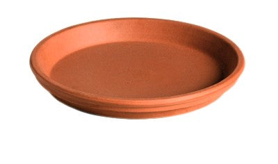 Tuscana Saucer