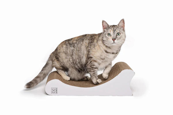 Witchita Scratch Card